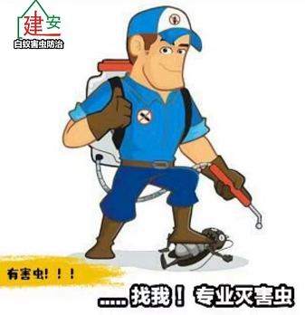 番禺灭臭虫,番禺杀臭虫,工厂宿舍杀臭虫公司