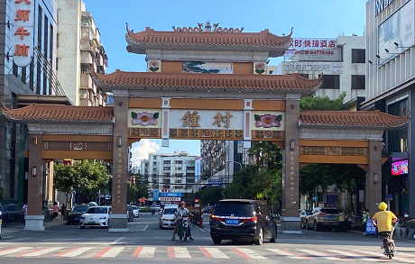 钟村白蚁防治，钟村灭白蚁，钟村除白蚁，钟村杀白蚁