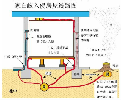 番禺南浦白蚁防治中心，南浦白蚁防治站，南浦防治白蚁所