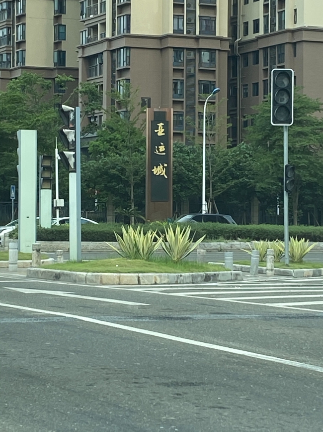 番禺石楼白蚁防治中心,石楼消杀白蚁公司 番禺石楼白蚁防治中心,石楼消杀白蚁公司