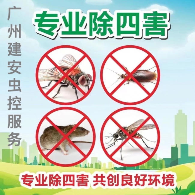 番禺消杀公司 教你如何在夏季除四害
