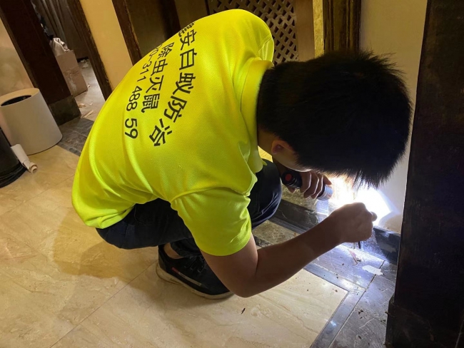 番禺钟村白蚁防治-商品房还未装修就成了白蚁的安乐窝