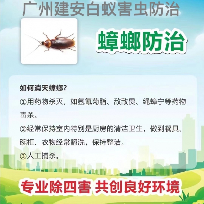 南沙除四害杀虫公司 南沙仓库灭鼠 工厂消杀服务