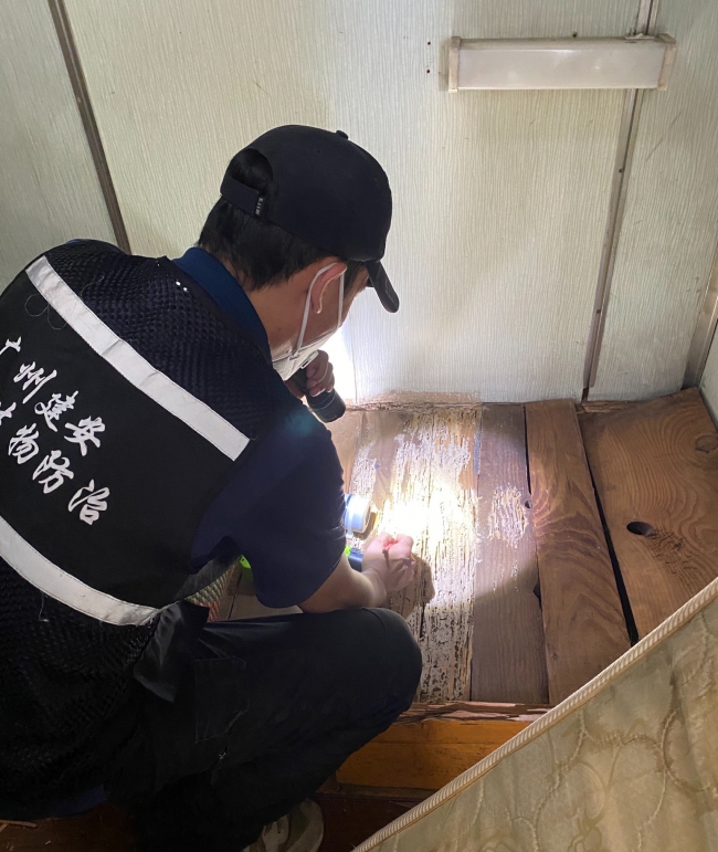 南沙白蚁防治中心 南沙白蚁防治所【7*24小时无休服务】 南沙白蚁防治中心 南沙白蚁防治所【7*24小时无休服务】