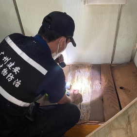 南沙东涌白蚁防治中心 东涌镇灭白蚁公司 推荐建安虫控