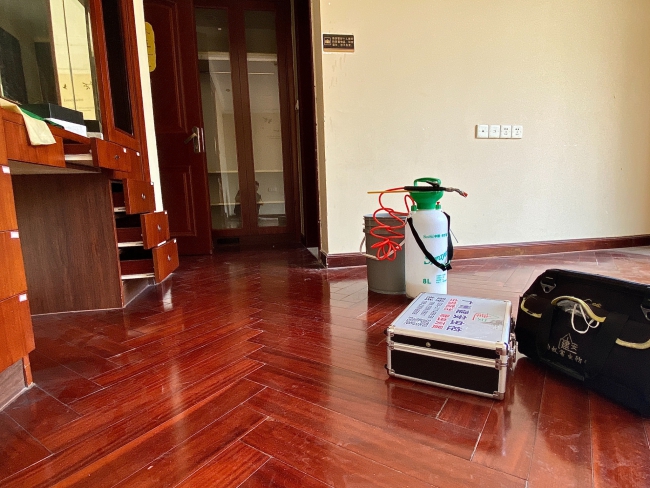 广州南沙区白蚁防治站,南沙灭白蚁,南沙区治白蚁公司,南沙区防治白蚁 广州南沙区白蚁防治站,南沙灭白蚁,南沙区治白蚁公司,南沙区防治白蚁