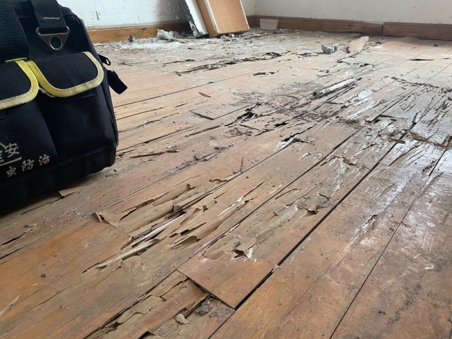 番禺新造镇消杀白蚁中心,新造白蚁公司,新造白蚁防治站