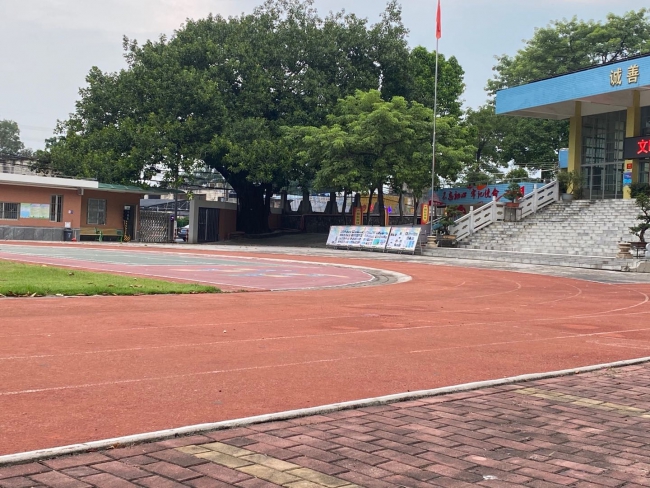 番禺区化龙镇白蚁防治,化龙灭白蚁公司【多年专业白蚁防治经验】 番禺区化龙镇白蚁防治,化龙灭白蚁公司【多年专业白蚁防治经验】