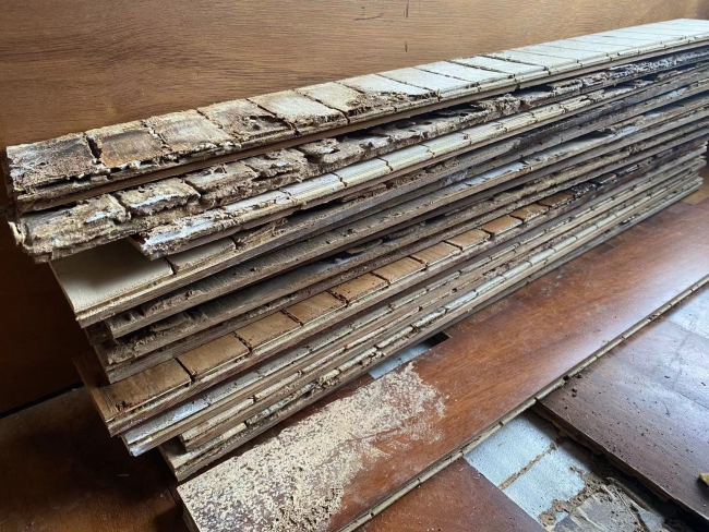 番禺区洛浦白蚁防治,洛浦灭白蚁,洛浦街除四害杀虫 番禺区洛浦白蚁防治,洛浦灭白蚁,洛浦街除四害杀虫