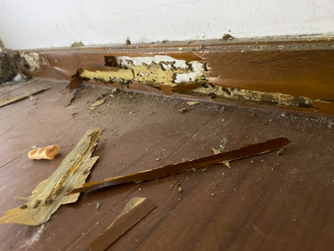 番禺沙头白蚁防治中心，沙头白蚁防治站