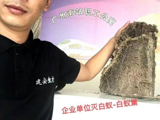 番禺白蚁防治中心 教你如何使用白蚁药