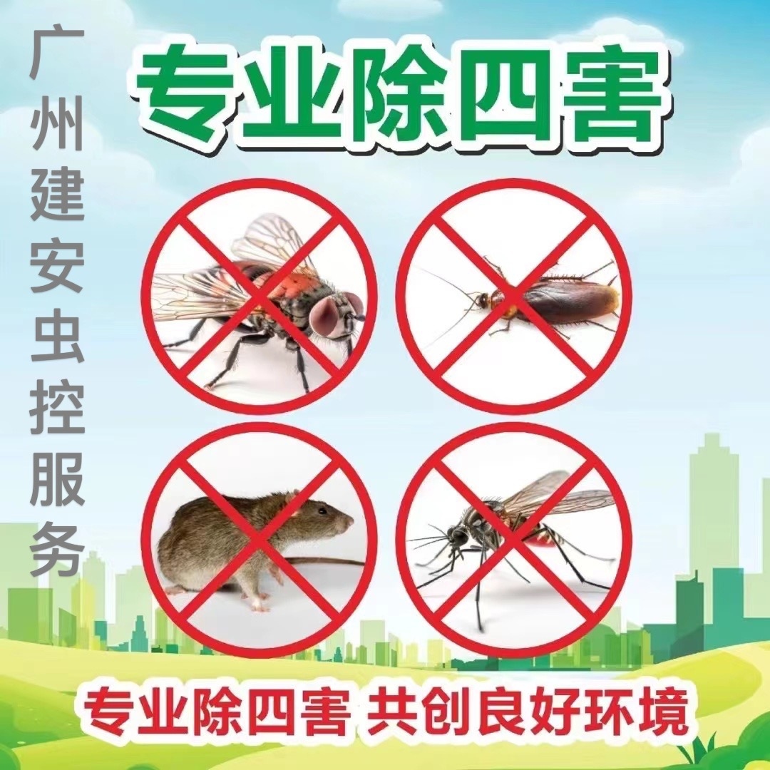 番禺消杀公司 教你如何在夏季除四害