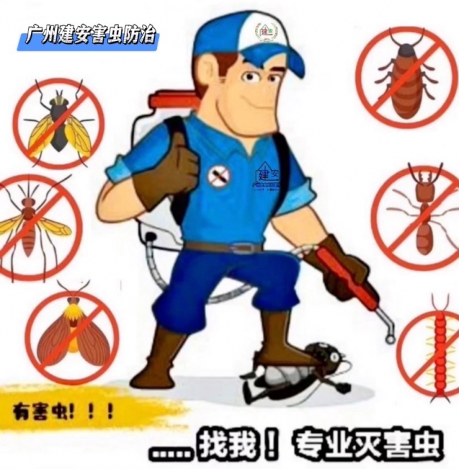 番禺上门杀臭虫灭跳蚤 工厂-工地宿舍除虫 番禺上门杀臭虫灭跳蚤 工厂-工地宿舍除虫