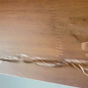 南沙黄阁镇除白蚁，黄阁白蚁防治中心【选择资质认证企业】