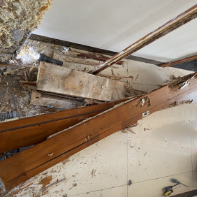 南沙横沥白蚁防治，横沥杀虫公司(选择正规资质企业)