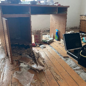 南沙龙穴街白蚁防治站 龙穴街灭白蚁公司