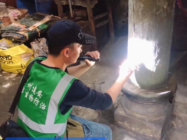 番禺建安除白蚁公司--白蚁的生活环境及危害