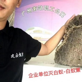 番禺区防治白蚁 广州市番禺建安白蚁害虫防治有限公司