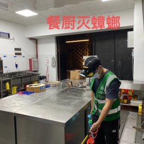 灭蟑螂 快速上门消杀 防治蟑螂