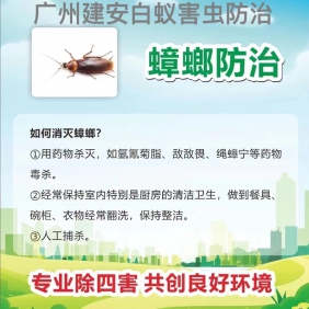 蟑螂，灭蟑螂，消杀蟑螂，上门防治蟑螂