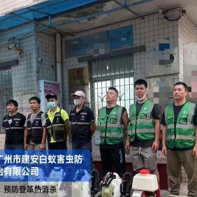 灭蚊，登革热消杀，除四害