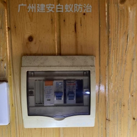 广州市建安白蚁害虫防治有限公司