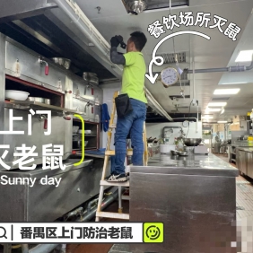 番禺灭鼠杀虫公司 上门灭鼠电话号码