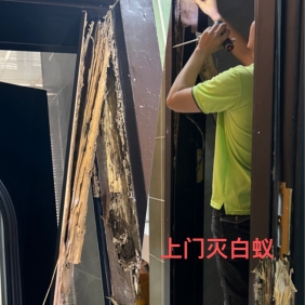 番禺钟村上门除白蚁，钟村杀虫公司，防治白蚁，消杀服务