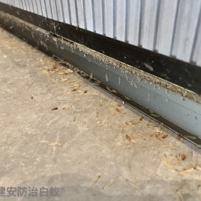 番禺白蚁防治所 建安防治白蚁技术中心
