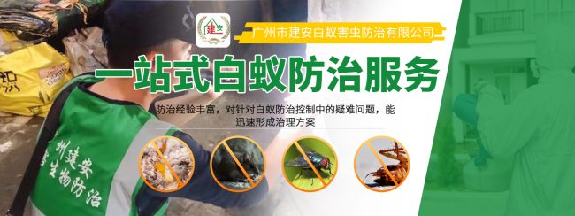 白蚁的危害,番禺区上门杀白蚁服务,番禺白蚁防治服务中心电话 白蚁的危害,番禺区上门杀白蚁服务,番禺白蚁防治服务中心电话