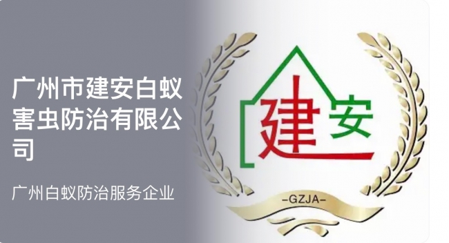 番禺防治白蚁公司 正规行业资质