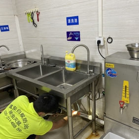 灭蟑螂 消杀蟑螂 上门防治蟑螂