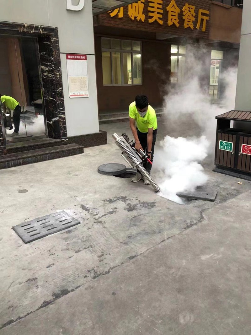 热烟雾消杀蟑螂