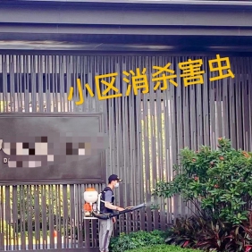 小区、社区消杀，除四害，杀虫灭鼠