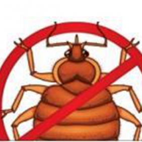 吸血虫：臭虫；跳蚤；虱子