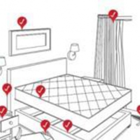 吸血虫：臭虫；跳蚤；虱子