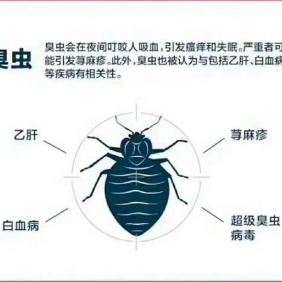吸血虫：臭虫；跳蚤；虱子