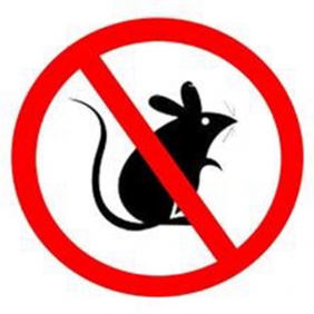 防治老鼠