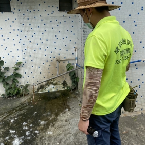 防蛇 驱蛇 广州建安害虫防治