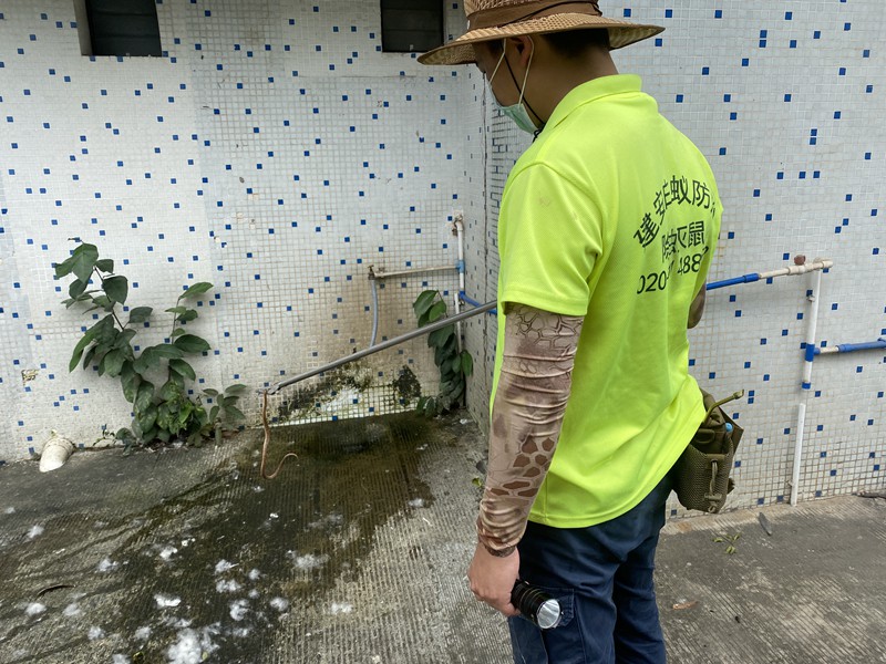 防蛇 驱蛇 广州建安害虫防治